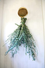 Load image into Gallery viewer, EUCALYPTUS BUNCH FOR SHOWER GOALS